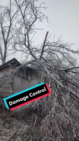 It got pretty crazy the other day, this is the only real damage we suffred, we got pretty lucky, I'll get all that cleaned up and I'll have some nice firewood for next year, the rest I might rent a chipper or burn. Glad we had minimal damage. #modernhomestead #homesteading #homestead #farmlife #icestorm #fallingtree #freezingrain #barndown 