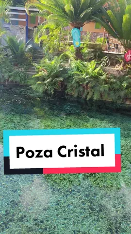 #pozacristal #sucre #cumana #posada #semanasanta2023 #venezuela🇻🇪 #venezuela4x4 #tiktok #naturaleza 