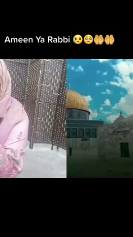 #duet with @Sana Raja Soodhun #foryoupage #❤️❤️❤️ #viral #freephalästin🇵🇸😴 