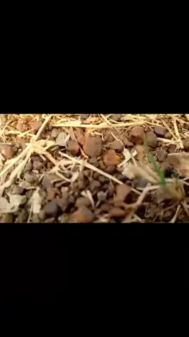 #បង្ហាញម៉ូត 😹😂😅
