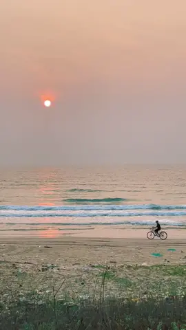 🌊