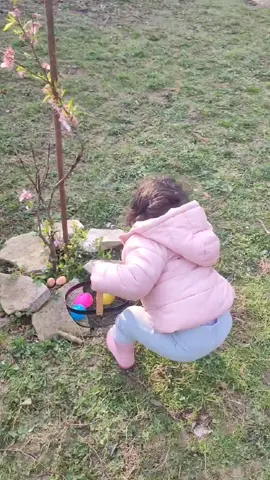 1ere chasse aux oeufs 🥰#oeufs #pâques #marionnettesàdoigts 