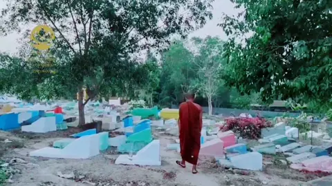 #CapCut #🙏🙏🙏 #tiktokmyanmar #dhamma #ashipyinnyarnanda99999 #foryoupage #fypシ #fyp #crd 
