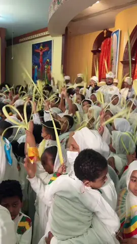 Enquan aderesachu 🌿 #ethiopian_tik_tok #mayateeggnn #habehatiktok 