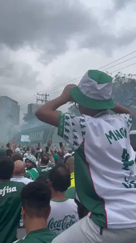 #Palmeiras I A torcida do #Verdao FAZ UM #Corredoralviverde para apoar o time na FINAL do #Paulistao contra o #Aguasanta! #Tiktokesportes #Tiktoknotícias #SportsNews Créditos: Gabriel Amorim