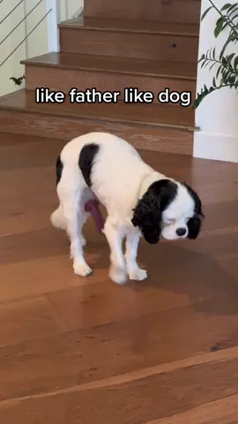 is that thing registered ?