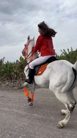 _عين الحاسد قناصة_#عز_حبيب_ريم #خيل_وخياله🐎 #فارسى_خيالة #خيالة_لبنان #الرقم_الصعب🔥👑 #عز_العرب🌏#foryoupage #makemeviral #rim🦋  