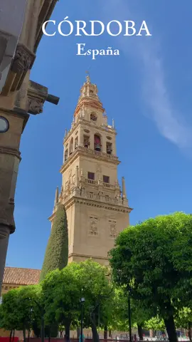 Esta es tu señal para viajar a Córdoba💃☀️❤️‍🔥  Una de las ciudades más bonitas de España! #cordoba #cordobaspain #spain🇪🇸 #tourismspain #españaturismo #andalucia #cordobaespaña #europetravel #andalusian #fypシ #viral 