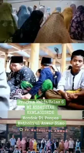 Program Mabit ● MI ASSA'DIYAH KEMLAGIGEDE Mondok Di Ponpes MATHOLI'UL ANWAR SIMO ●《《@ppmatholiulanwar #mondokpesantren #nderekyai #mondokitukeren #santri 