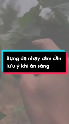 Người bị đại tràng kém hay đi ngoài nên hạn chế ăn các thức ăn này vào buổi sáng #thaoduocbaoan #viemdaitrang