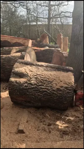 Woodland creatures 🐾 #michaeljonescs #woodlandcreature #chainsawart #chainsawartist #woodworking #woodwork #fyp 