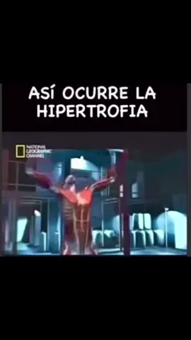 Asi ocurre la hipertrofia !! Comenta que tema te gustaria!!! #GymLife #motivationgym #capcut #GymTok #hipertrofiamuscular 
