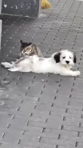 🥰