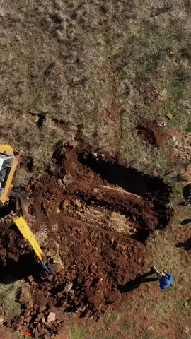 15 million years later – we discover a fossil treasure trove.  A set of remarkable fossils have been unearthed near Gulgong, NSW Central Tablelands, this red-dirt landscape would have been covered in a dense tropical-like rainforest with a thick canopy of plants competing for sunlight.  These rocks may not contain gold, but to palaeontologists, they have richer veins to reveal.  The life forms they encase – spiders, saw flies, feathers and flowers – speak of a vastly different Australia when our island continent was drifting imperceptibly but irrevocably northwards in its post-Gondwana divorce from Antarctica. That’s when a chain of volcanoes burst through the Earth’s crust, leaving remnants that can still be seen in a north-south divide, including NSW’s Mount Warning and southern Queensland’s Scenic Rim. We know, thanks to geochemical analysis, that the basalts deposited by these volcanoes are the source of the iron here. Using Argon dating, researchers have been able to date the basalt to around 37 million years ago. In turn, the fossil site is so well preserved that the content of fish stomachs and the breathing apparatus of spiders can be seen.  Credits:  @Australian Museum  Photographer: Michael Frese/University of Canberra, Videography @SALTY DINGO Max Mason-Hubers  IG @ masonhubers  Video Editor: Anna Lloyd @VivusProductions  #ausgeo #palaenotology #fossildigging #discoveraustralia 