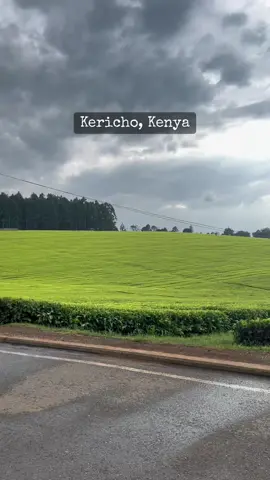 The greenest Town in Africa. 