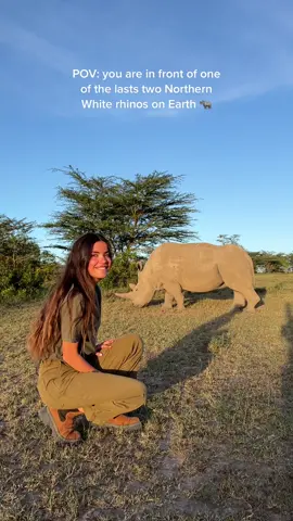 One of the most special and bittersweet moments of my life 🦏 Meeting Najin and Fatu, the last two northern white rhinos at Ol Pejeta Conservancy. Being face to face with extinction is a feeling I can’t explain. Seeing them reinforced my plan to try to make this world a better place so that no other species would ever be in this situation again 🙏🏽 Please, consider supporting their cause. Ol Pejeta is the largest East African black rhino sanctuary (critically endangered) , home to thousands of species and to Najin and Fatu.  ⚠️ Disclaimer: When it comes to wildlife, the vast majority of times cannot be touched o be near them. Be wary whenever you can touch wildlife when you travel as it can be suspicious. This time was an exception since Najin and Fatu are very used to humane treatment due to their condition. I personally had the opportunity to be with Najin because I have been supporting Ol Pejeta for a long time and to raise awareness of their situation, but not everyone can do this. I was also supervised all the time by her caregivers. #rhino #poaching #wildlife #OlPejeta #Kenya #africa 