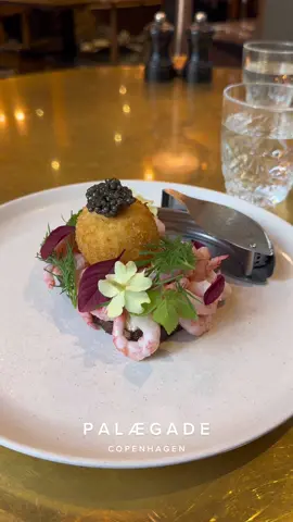 Restaurant Palægade knows how to serve up the perfect traditional danish ‘smørrebrød’ lunch! 🇩🇰 #denmark #copenhagen #copenahgenstyle #copenhagenfashionweek #copenhagenfood #copenhagentravel #denmarktiktok #smørrebrød #foodtiktok #food #michelin #outdining #diningweek #traveltiktok #foryoupage #fyp 