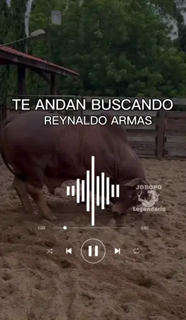 Miche que se va la pea mí gente criolla y parrandera #joropollanero🇻🇪 #purojoropo #musicallanera #joropolegendario #casanare🤠💯 #llanosvenezolanos #llanobravio 