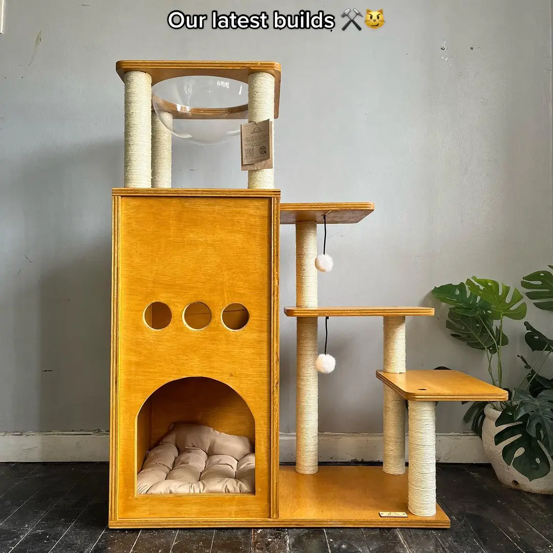 Lately, we've been busy building these bespoke pieces of pet furniture! Each one is custom-made to fit your furry friend's unique needs and style 😻⚒