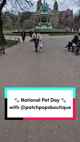 Happy #NationalPetDay 🐾  @patchpops_boutique shares her favourite pet treats from TikTok Shop 😍 #PetTok #PetsOfTikTok #TikTokMadeMeBuyIt 