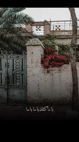 ياماا كتلك منهم تحصل عذاب #لايكلبي #باسم_العلي 