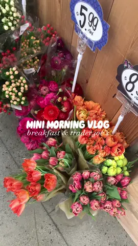 mini morning vlog🫶🏻🌸 #Vlog #morningvlog #minimorningvlog #dayinmylife #Lifestyle #vlogging #socal #fyp #breezyexperience #traderjoes #spring #spendthedaywithme 