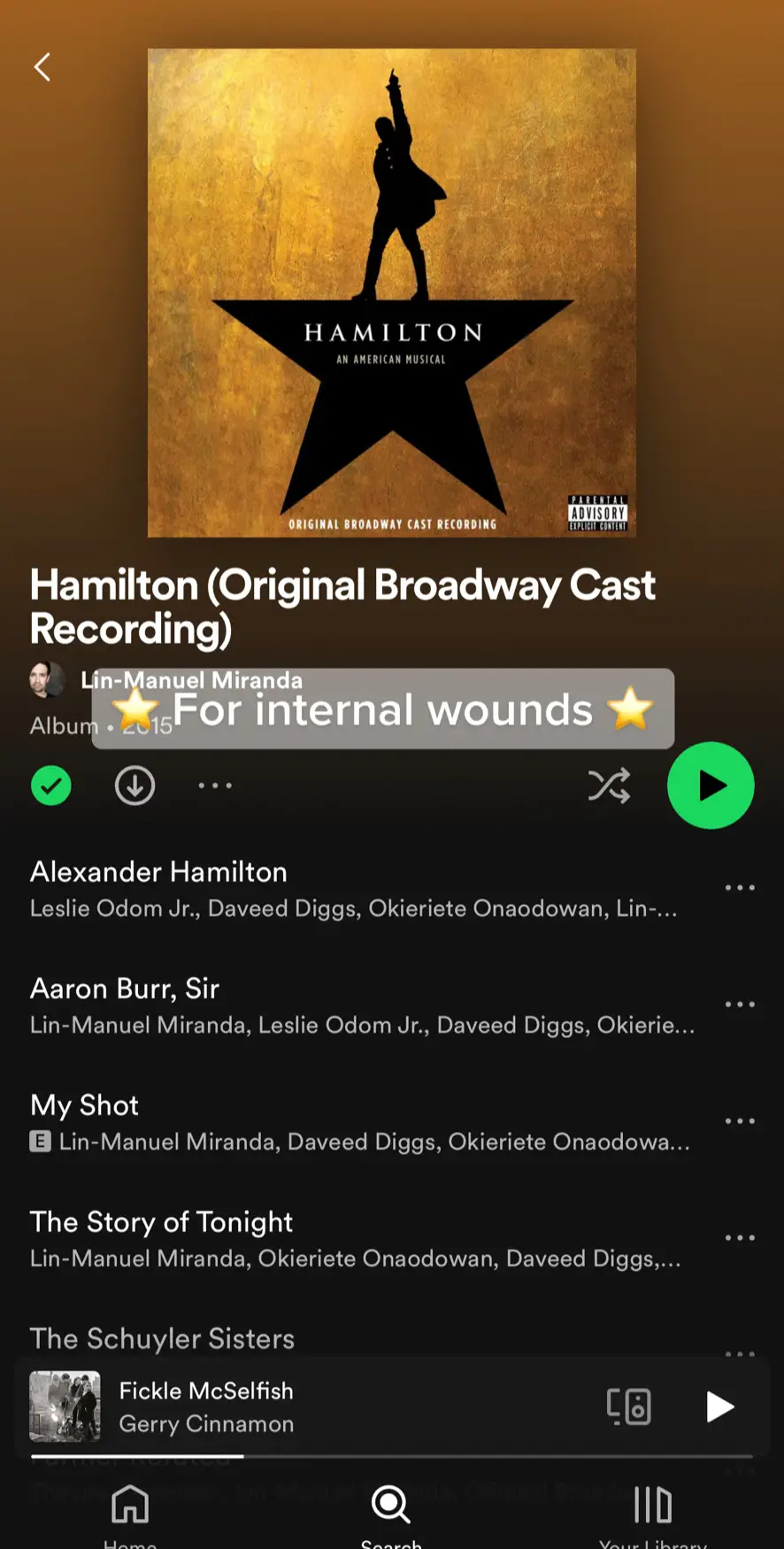 My fix ⭐️  #hamilton #musical #hamiltonmusical 