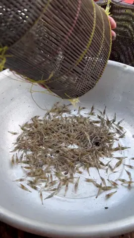 Bánh khọt miền tây #trangmientay 