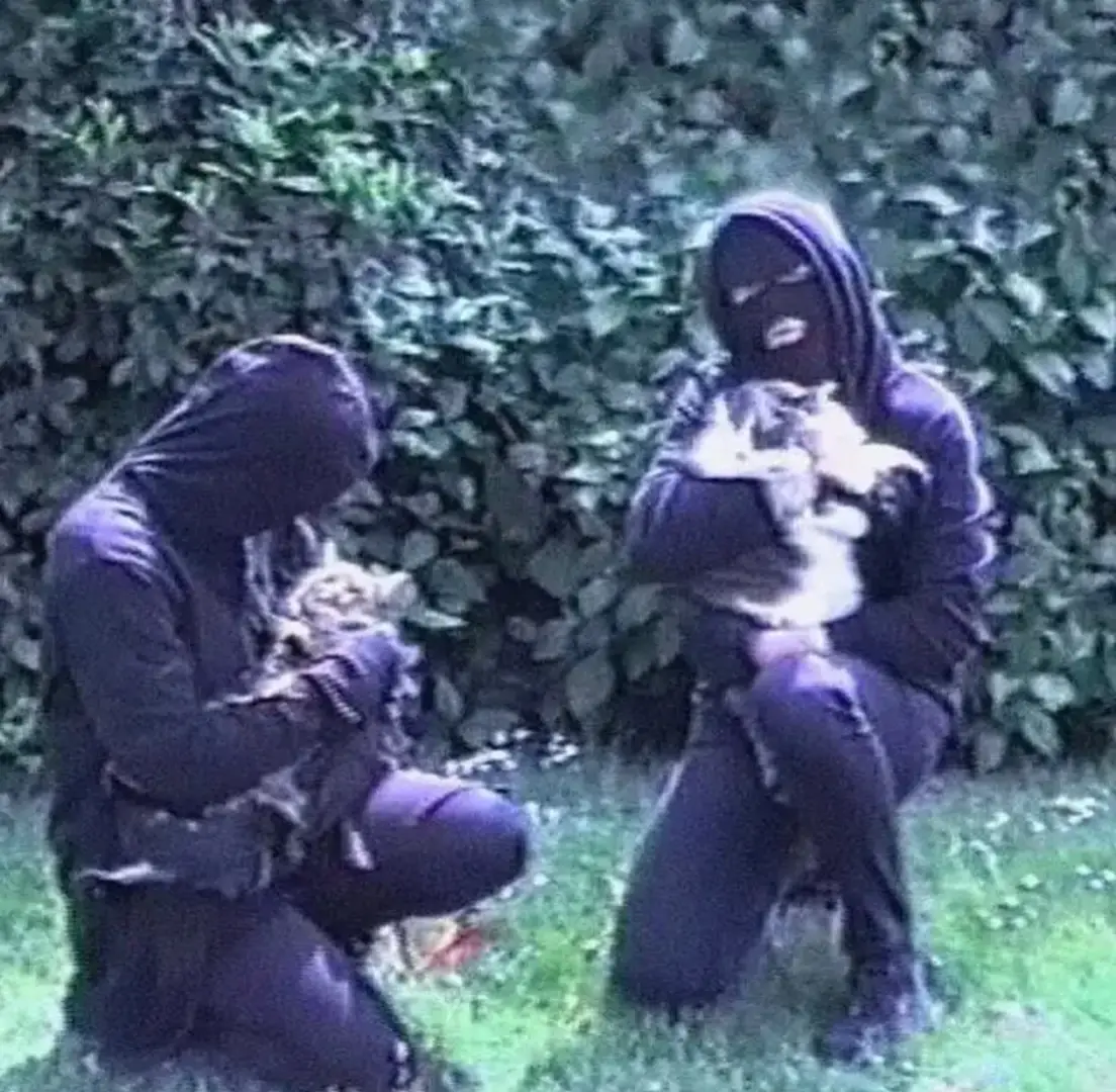 The Animal Liberation Front (ALF) is a decentralized network of animal liberation activists who use direct action tactics to free animals from captivity and to shut down animal experimentation facilities, fur farms, and other industries that exploit non-human animals for profit. #fyp #archive #targetaudience 