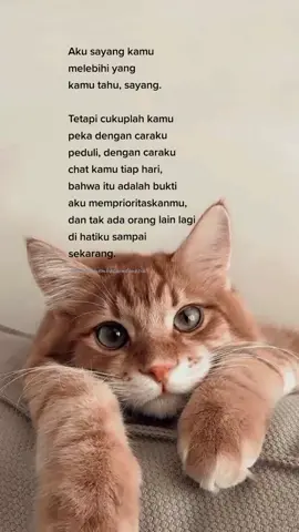 Aku sangat sayang kepadamu, sayang... #cinta #sayang #masukberanda #fyp 