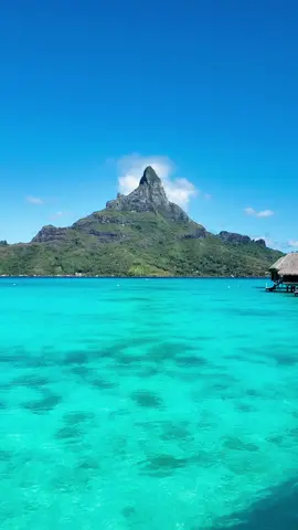 Dreaming about Bora Bora. 🌺⛰️  #goals #travel #borabora #dreams #foryou #viral #fyp 