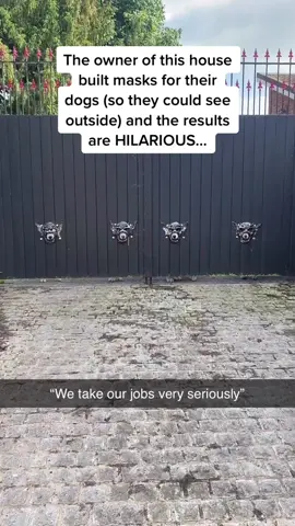 The way their paws stick out 🤣🤣🤣 (Eloise Thorogood via @ViralHog) #pubity 