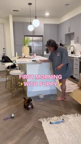 First morning with my new puppy!💗✨  Emmy is doing so well! She slept all night her first night. I woke her up at 4am to potty and she went back to sleep until just before 7am. We are working on potty training and she’s doing amazing! She’s only had 2 accidents so far and I am so proud🥹 #newpuppy #newdogmom #dogmom #morningroutine #puppydiaries 