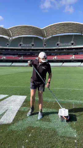 The stage is set 🤌 #gatherround #afl #footy #oddlysatisfying #australia 
