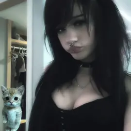 #Stopmotion meww