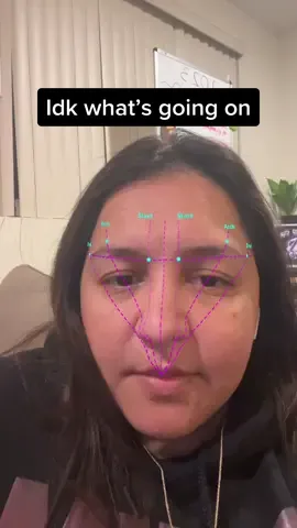 #stitch with @kelsey.delgado I think im doing this right..? 🤷🏽‍♀️😂 #gigglesirene #vloggersoftiktok #tiktokvlogger #life #eyebrow #filter #makeup #face #trending 