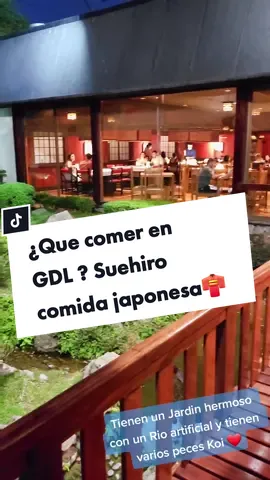 ¿Que comer en Gdl? Suehiro restaurante de comida japonesa #quecomer #gdl #comida #restaurant #Parati #quehacer #parati #viajes #fyp #comida #japonesa #suehiro #comidajaponesa 