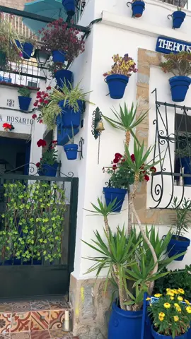 House with blue pots#house #housetour #housegarden #flowers 