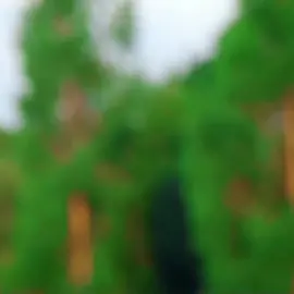 love this song🥰🎬#aapmujheachchelagnelage #hritikroshan #ameshapatel 