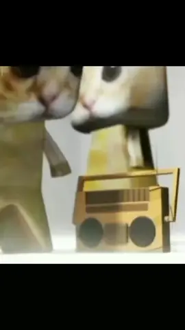 #CapCut#paperdereltiempo#unvideomasmigente #estolohagoporlosmomos😹👻 #memes#parati#fypシ#gatitos#gatitosbailando#gatosbailandoconunaradio😹 