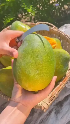 Fresh Mango 🥭🥭 #fruits #sweetfruit #freshfruits 