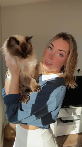His name is Arlo and he gave consent to be in this video with two very cute meows and a purr 🫶🏼