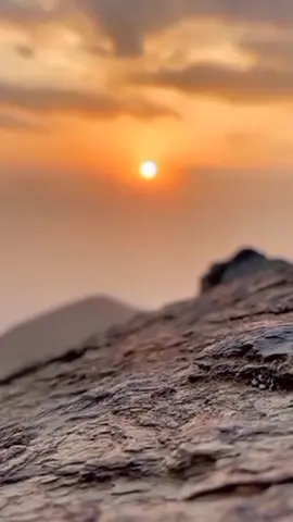 #جيت_يالله_واقف_ببابك 