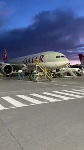 All horses loaded ✔️🇲🇽 #horsesoftiktok #horsetransport #horsetravel #horseflying #flyinghorses #friesianhorse #horsecargo #aircraft #airplane #boeing777 #horses #mexico 