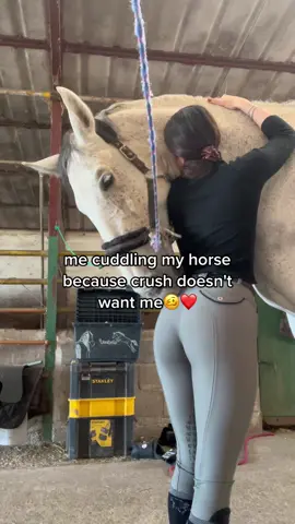 Io che coccolo il mio cavallo perche crush non mi vuole🥳 #cavallo #equitazione #horse #cavalli 
