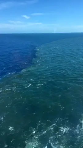 Where two oceans meet but do not mix. 😍 #ocean #nature #theocean #wild #beautiful