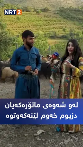 ماریا دەچێتە لای گەنجێک کە ماتۆڕەکەیان لێ دزیوە بزانن چی دەڵێت..