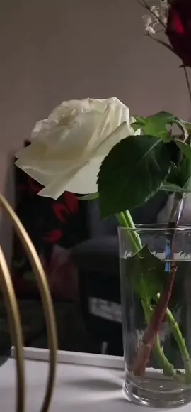 مساء خاص للغالييين معطر بفل وياسمين راسلينه بس للحلوين وانقولهم مشتاقين💙💜🥰#مساكم_كل_شي_حلو #مساااء_الخير_والسعادة #تصميم_فيديوهات🎶🎤🎬 #viralvideo #اكسبلوررررر_لايك_متابعه_🎼🎵🥰💞 