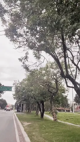 Y Este Filtro Mientras Estas Con Tu Bici😘🙏🥰#stunt #viral #bici #likes #relajacion 