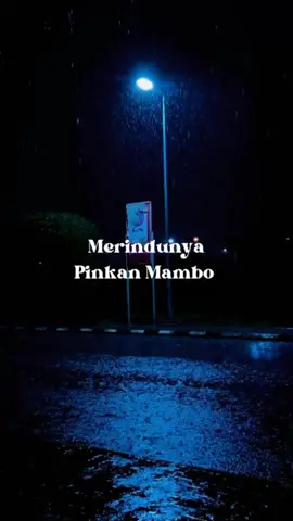 🎶 Merindunya - pinkan Mambo #fyp #fypシ #foryoupage #vidiolirik #vidiolagu #storywa #storysad #vidiomusik #lagugalau #lagubaper #merindunya #merindunyapinkanmambo #pinkanmambo 